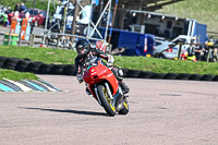 Lower Group Red Bikes